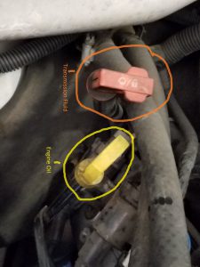  Transmission Dipstick